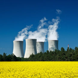 Pace Analytical radiochemical analysis