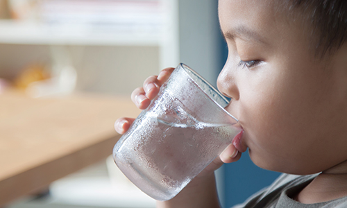 Pace Analytical Lead and Copper Analysis of Drinking Water