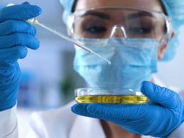 Pace Analytical Bioassy Scientist testing pitri dish, WET Testing, aquatic toxicity