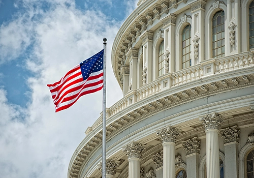 closeup of American flag outside US Capitol building. What is inorganic chemistry, Inorganic compounds, Testing laboratory, Wet chemistry, Metal testing