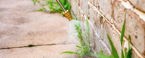 nozzle spraying herbicide on weeds near brick wall. Herbicides, What is an herbicide? Herbicides and pesticides