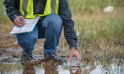 Environmental engineer taking water sample in field. Herbicides, What is an herbicide? Herbicides and pesticides