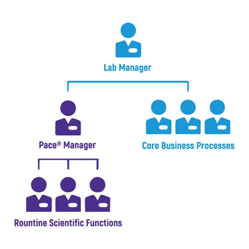 Pace Scientists working in laboratory. Life science staffing agency, lab professionals