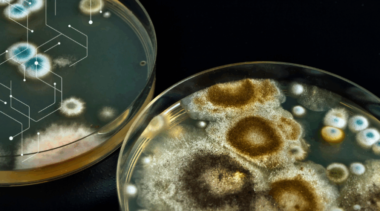 blog20header2028329-3