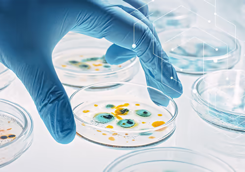 Genus-Level ID and USP 1113: What Compounding Pharmacies Need to Know