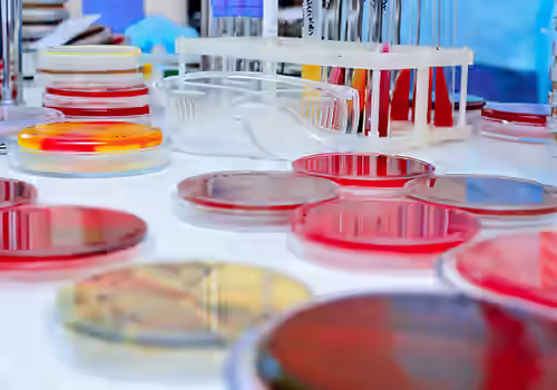 Lab bench with colorful empty petri dishes and a test tube rack in the background.