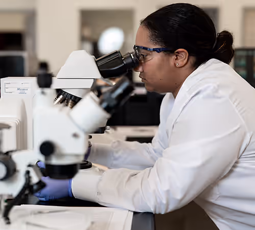 Which Asbestos Test do You Need? Pace Scientist working in laboratory looking through microscope.