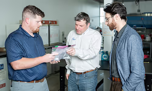 Three Pace®Scientists discussing report results while working in laboratory.