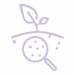 Testing-Services-herbicide-residue-01-01.webp